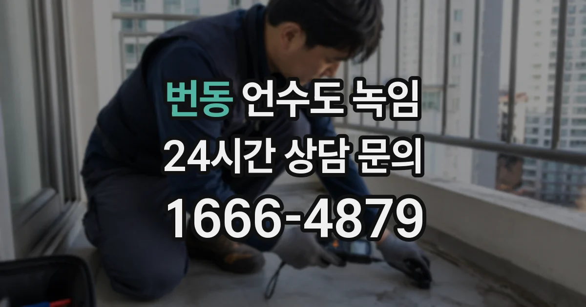 번동 언수도 녹임