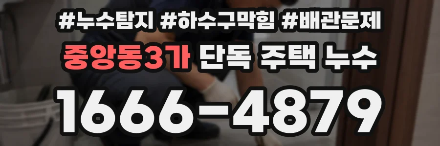 중앙동3가 단독 주택 누수