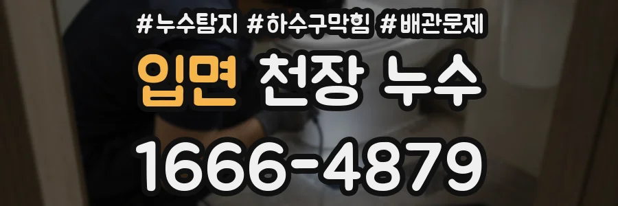 입면 천장 누수