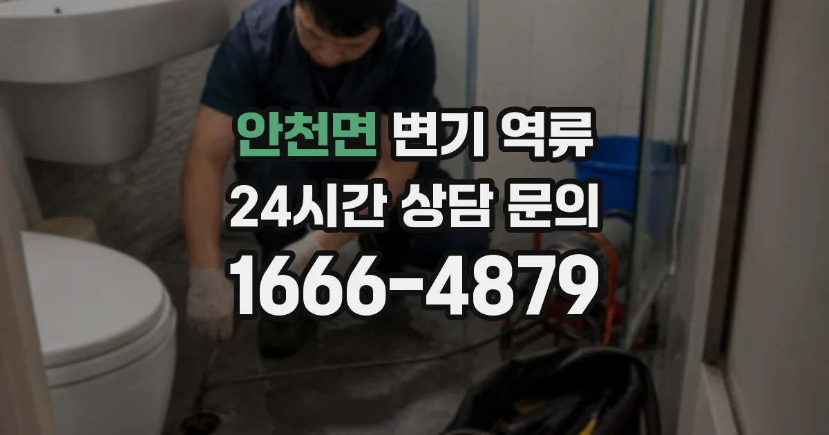 안천면 변기 역류