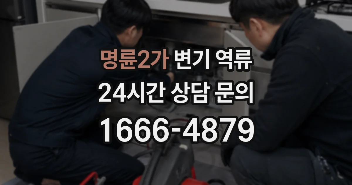 명륜2가 변기 역류