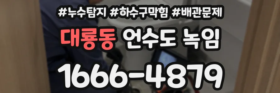 대룡동 언수도 녹임