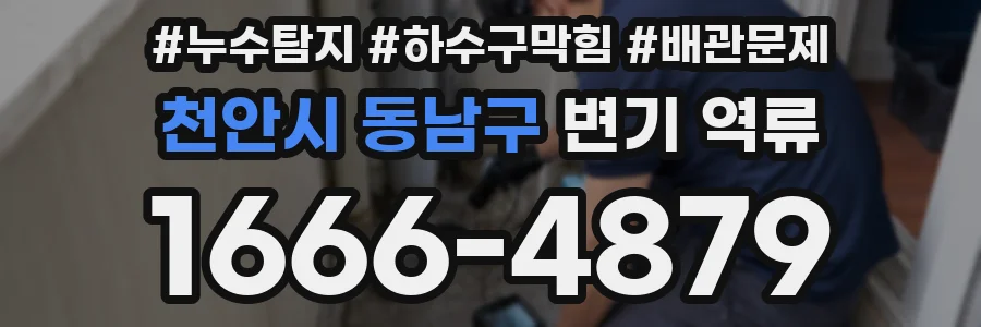 천안시 동남구 변기 역류