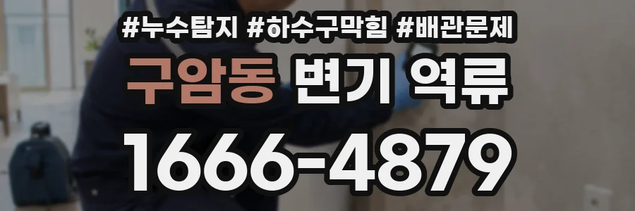 구암동 변기 역류