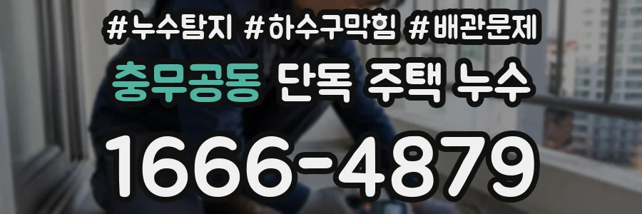 충무공동 단독 주택 누수