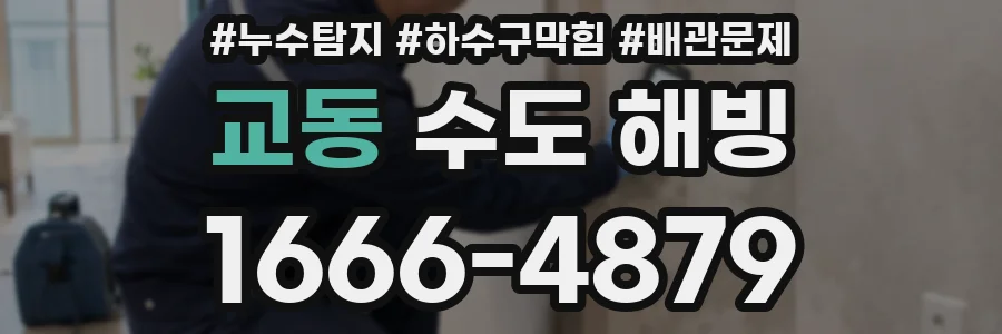 교동 수도 해빙