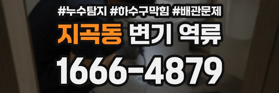 지곡동 변기 역류