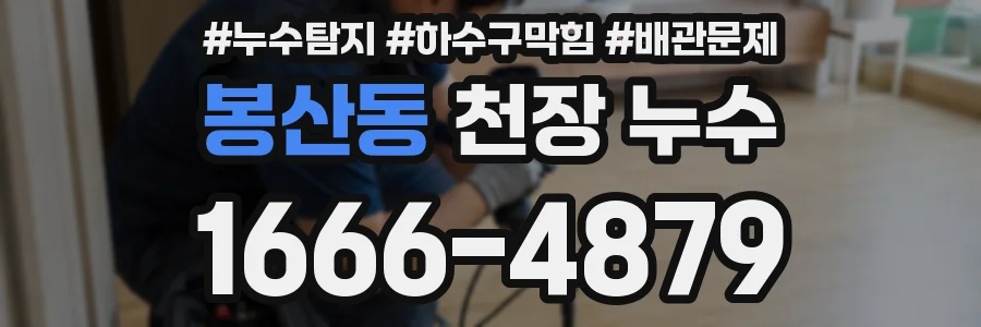 봉산동 천장 누수