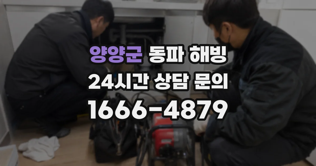 양양군 동파 해빙