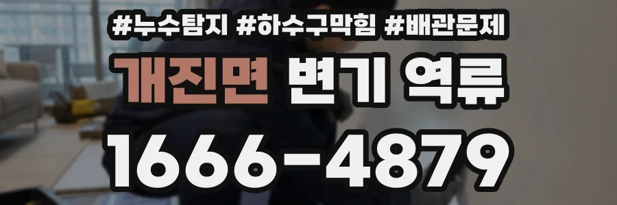 개진면 변기 역류