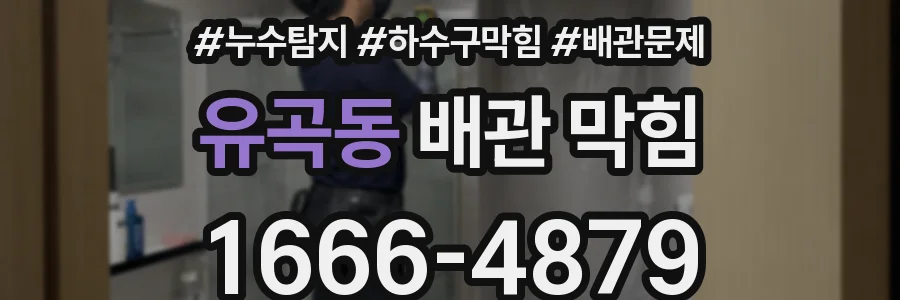 유곡동 배관 막힘