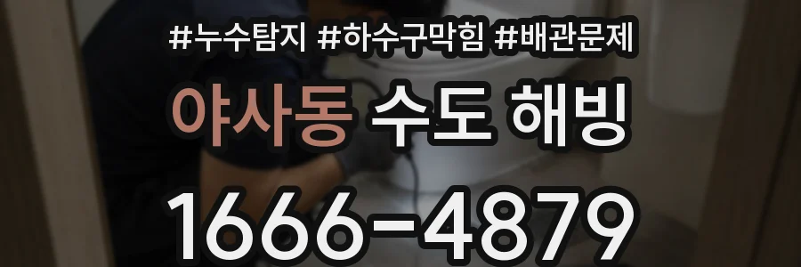 야사동 수도 해빙