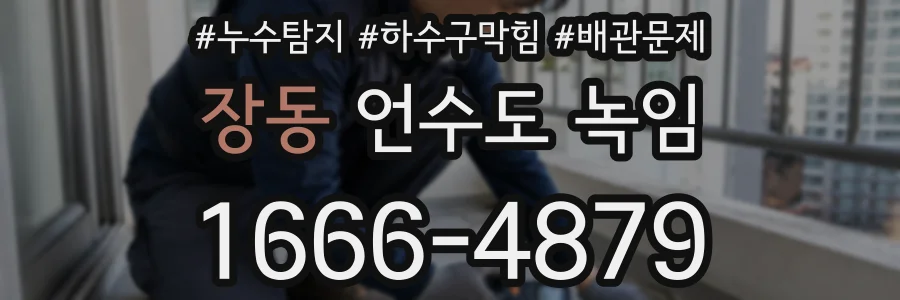 장동 언수도 녹임