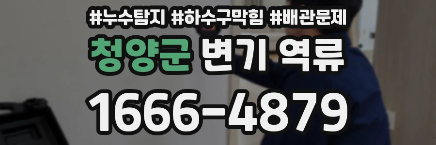 청양군 변기 역류