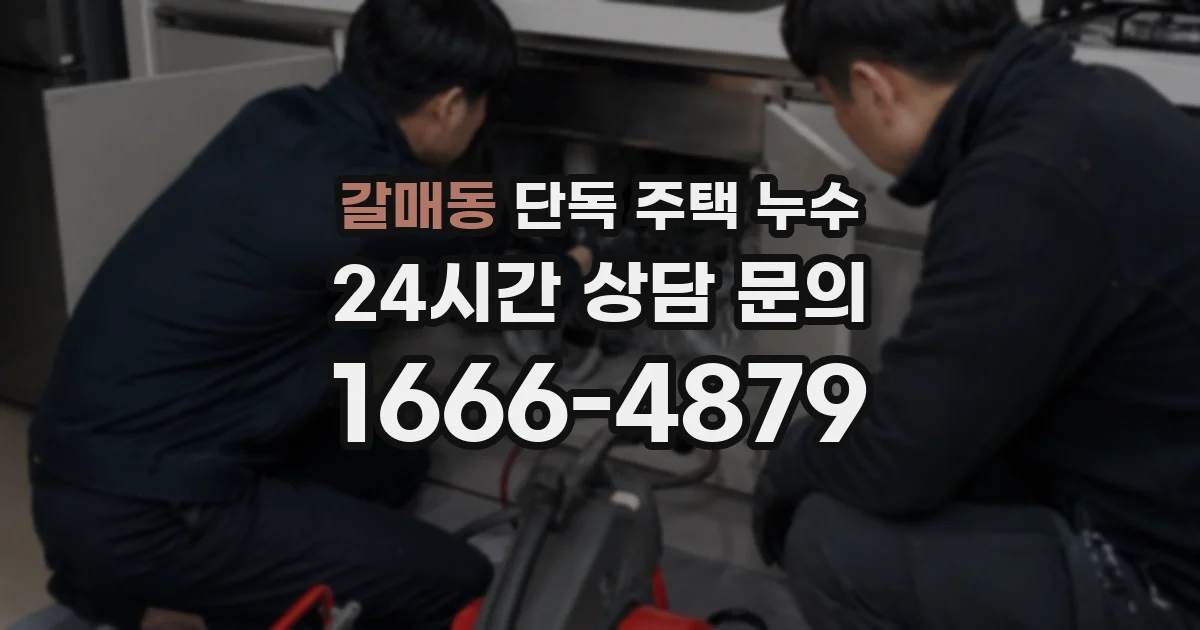 갈매동 단독 주택 누수