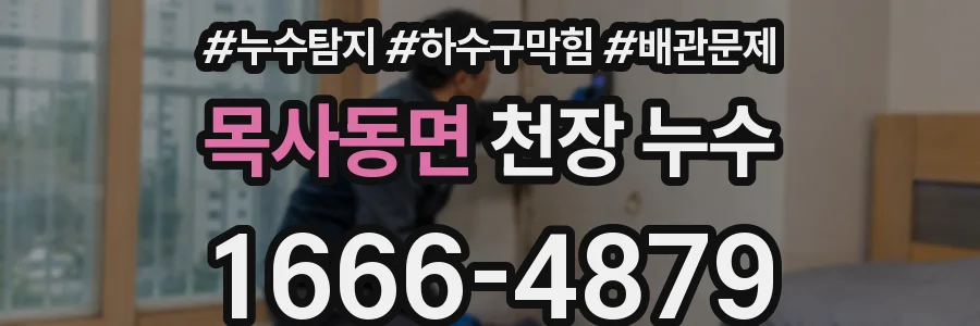 목사동면 천장 누수