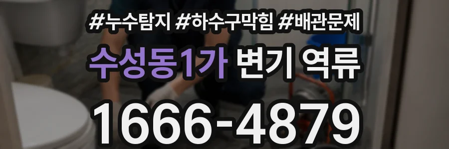 수성동1가 변기 역류
