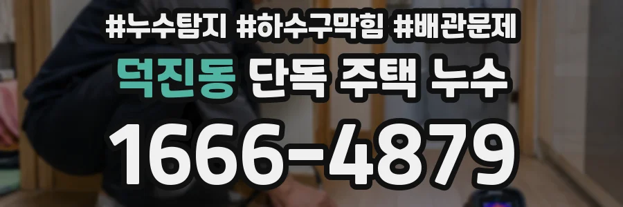 덕진동 단독 주택 누수