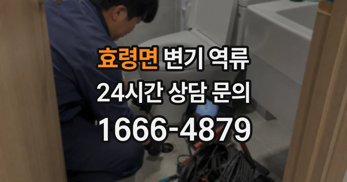 효령면 변기 역류