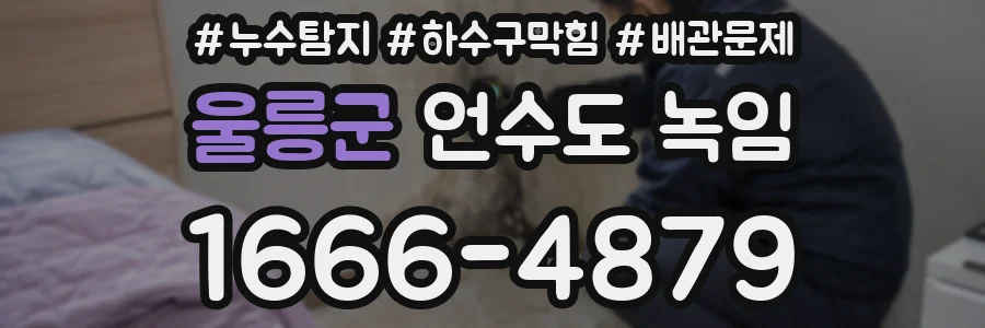 울릉군 언수도 녹임