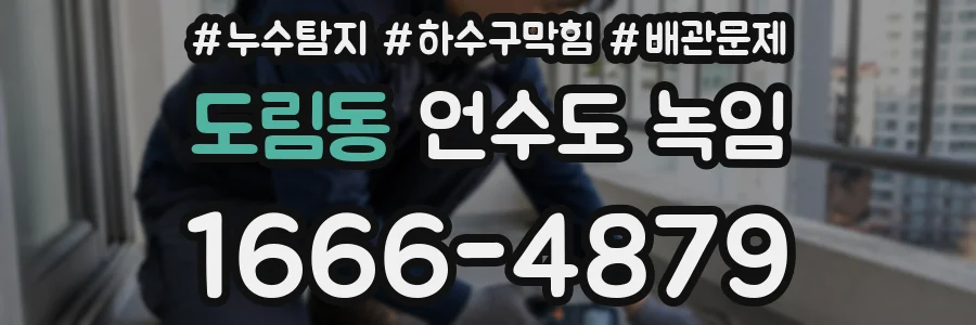 도림동 언수도 녹임