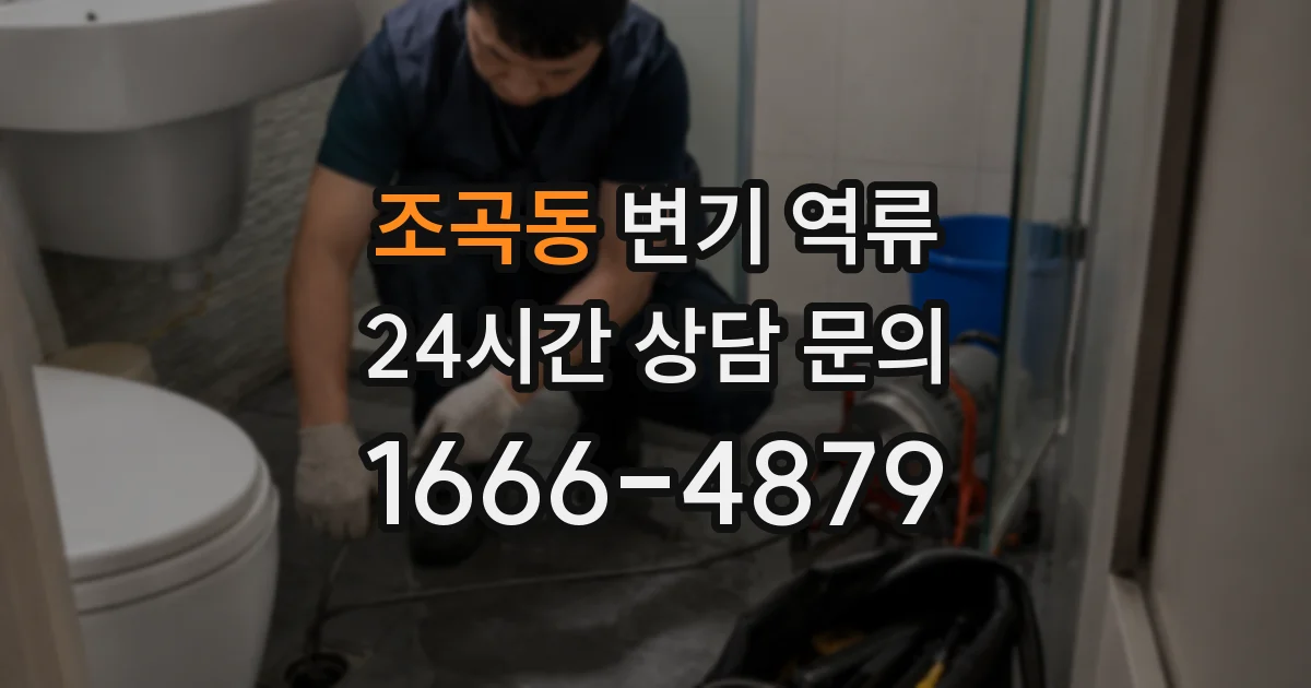 조곡동 변기 역류
