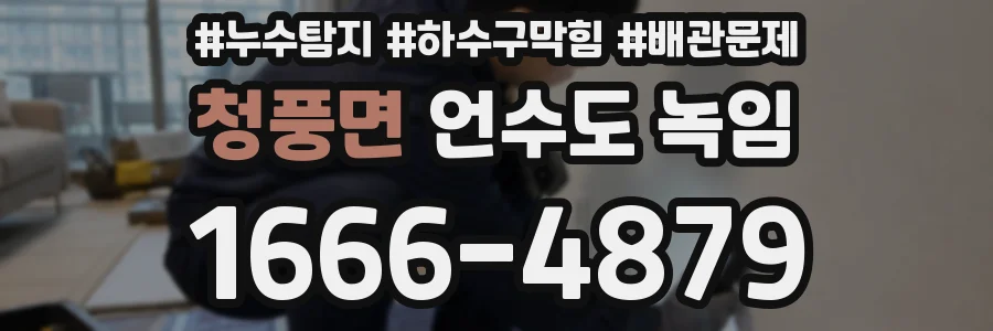 청풍면 언수도 녹임