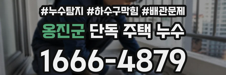 옹진군 단독 주택 누수