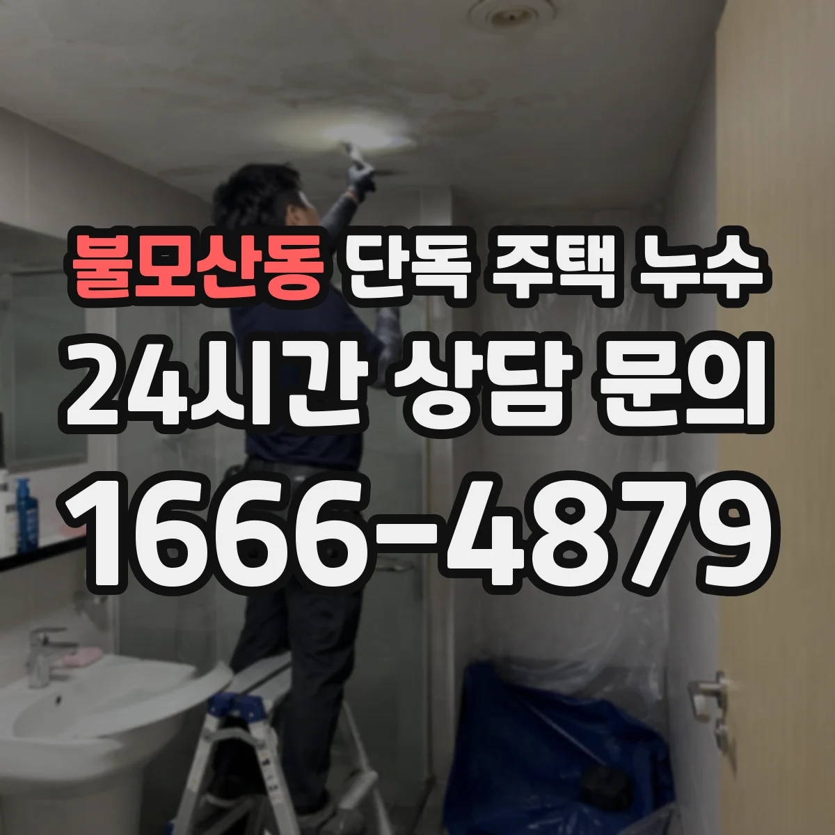 불모산동 단독 주택 누수