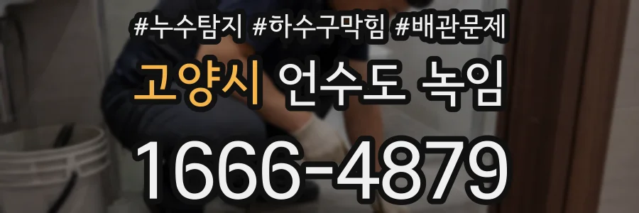 고양시 언수도 녹임