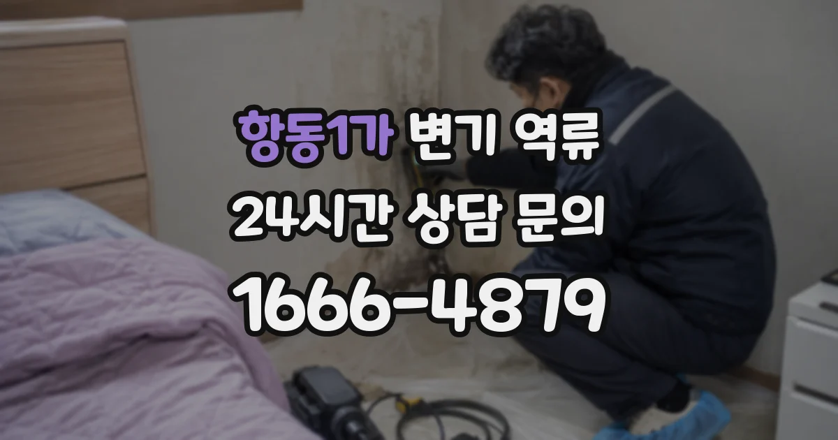 항동1가 변기 역류