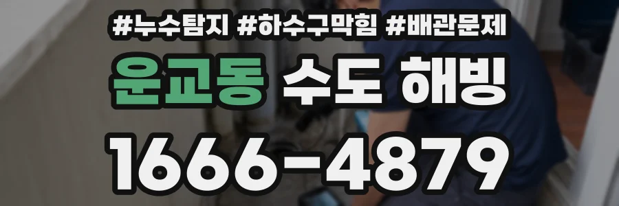 운교동 수도 해빙
