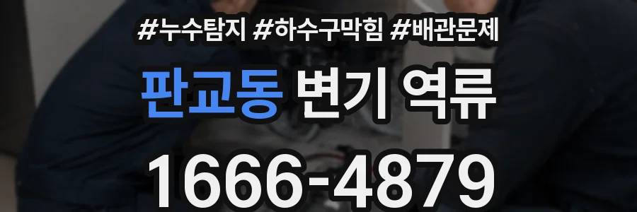 판교동 변기 역류