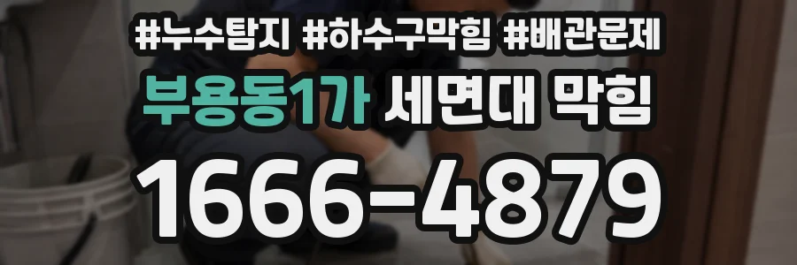 부용동1가 세면대 막힘