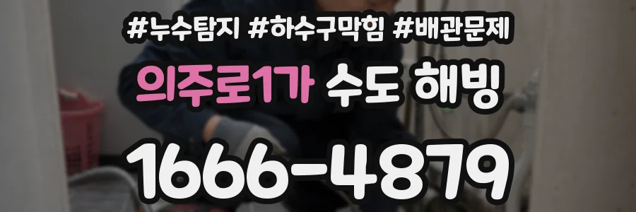 의주로1가 수도 해빙