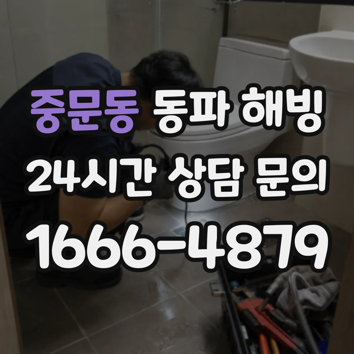 중문동 동파 해빙