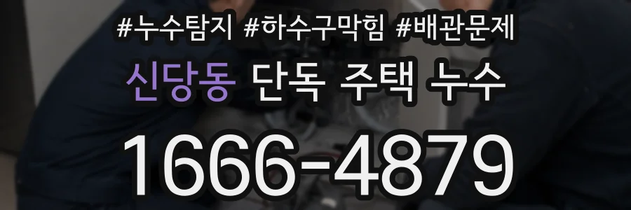 신당동 단독 주택 누수