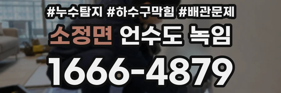 소정면 언수도 녹임