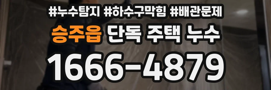 승주읍 단독 주택 누수