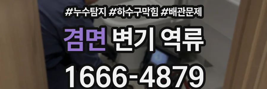 겸면 변기 역류