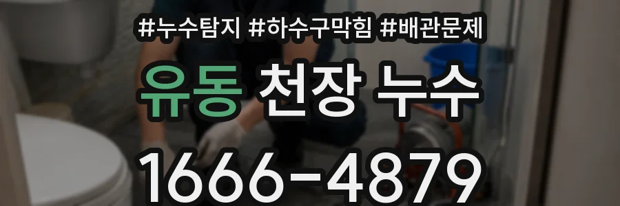 유동 천장 누수