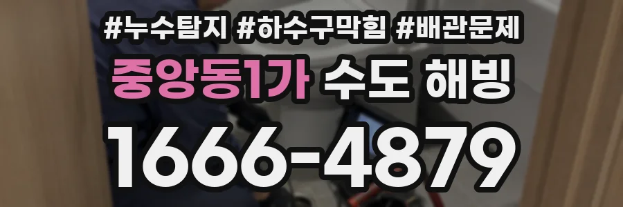 중앙동1가 수도 해빙