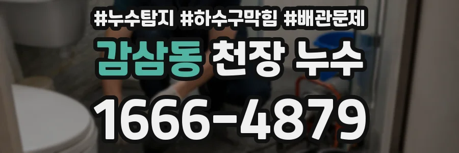 감삼동 천장 누수