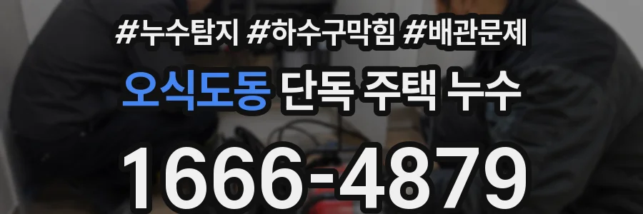 오식도동 단독 주택 누수