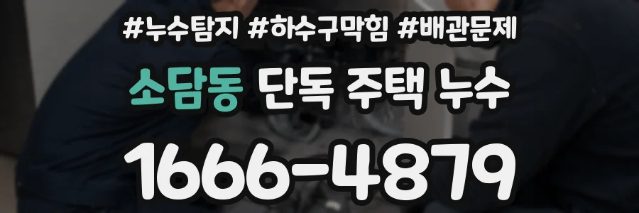 소담동 단독 주택 누수