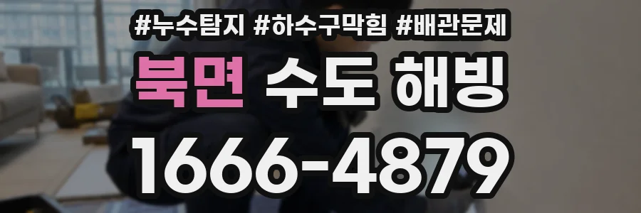 북면 수도 해빙