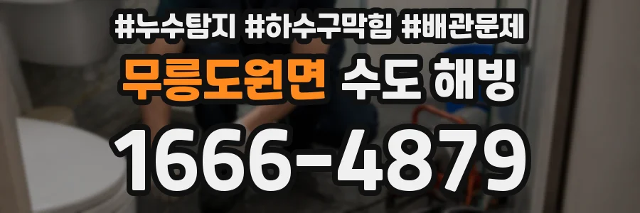 무릉도원면 수도 해빙