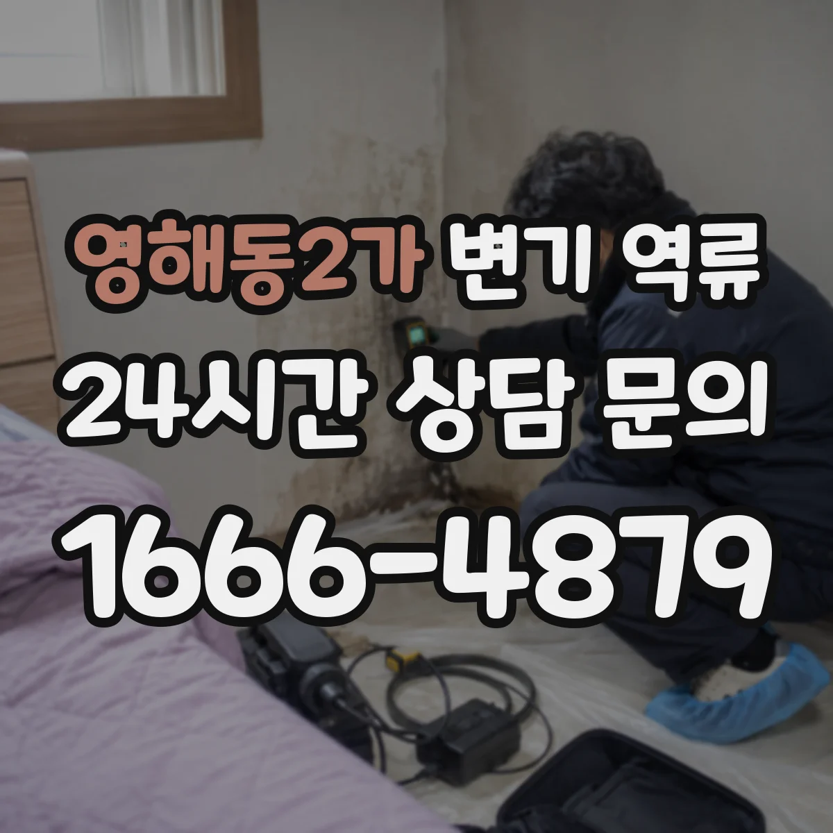 영해동2가 변기 역류