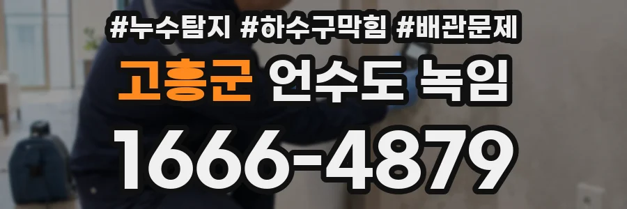 고흥군 언수도 녹임