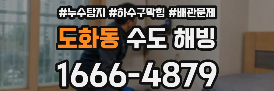 도화동 수도 해빙